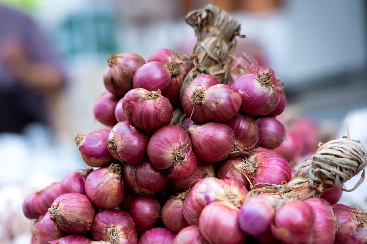 Fresh Onion